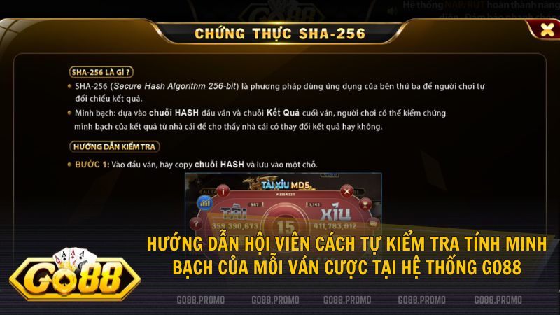 Thỏa sức đặt cược không lo hoàn tiền nhờ tính năng không cân cửa độc đáo
